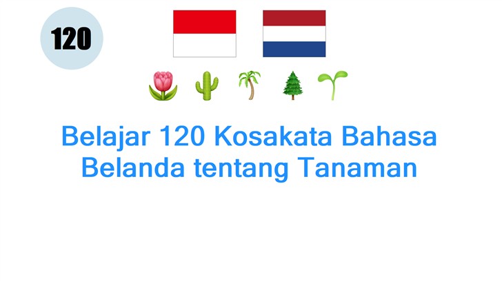 Belajar 120 Kosakata Bahasa Belanda tentang Tanaman